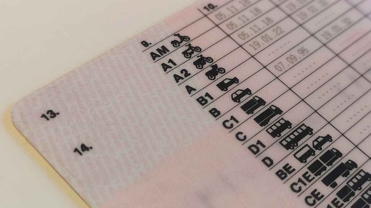 Puntos del Carnet de Conducir: Todo lo que Debes Saber para No Perder tu Permiso en 2025